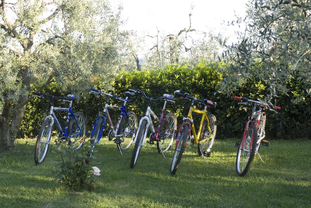 Agriturismo Macinatico سان جيمينيانو المظهر الخارجي الصورة